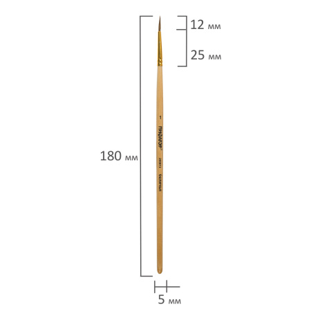 Кисть ПИФАГОР, БЕЛКА, круглая, № 1, деревянная лакированная ручка, с колпачком, 200815 - Кисти для рисования