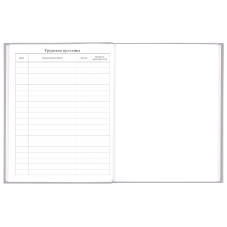 Дневник 5-11 класс 48 л., твердый, BRAUBERG, глянцевая ламинация, с подсказом, "Flowers", 106401 - Дневники для старших классов