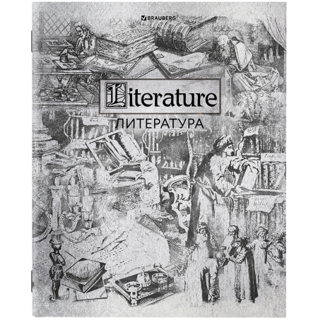 Тетради предметные, КОМПЛЕКТ 12 ПРЕДМЕТОВ, "SILVER", 48 листов, с серебряной обложкой, BRAUBERG, 404034 - Тетради предметные