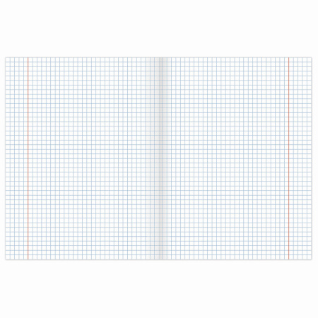 Тетради предметные, КОМПЛЕКТ 10 ПРЕДМЕТОВ, "КЛАССИКА XXI", 48 л., обложка картон, BRAUBERG, 404025 - Тетради предметные