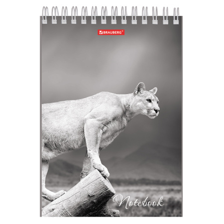 Блокнот А5 146х205 мм, 60 л., гребень, картон, жесткая подложка, клетка, BRAUBERG, "Животные", 129810 - Блокноты