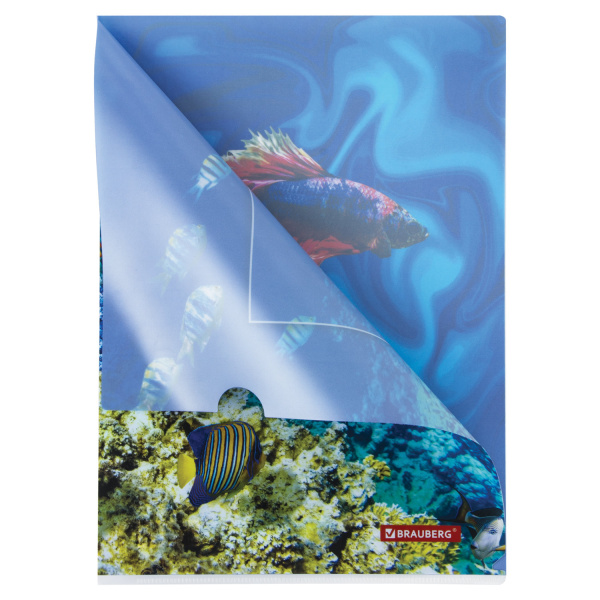 Папка-уголок BRAUBERG "SEA WORLD", А4, 150 мкм, цветная печать, 228042 - Папки-уголки пластиковые