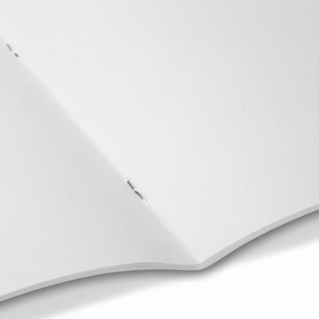 Альбом для рисования А4 40 л., скоба, обложка картон, BRAUBERG, 205х290 мм, "Nature" (2 вида), 106704 - Альбомы и папки для рисования