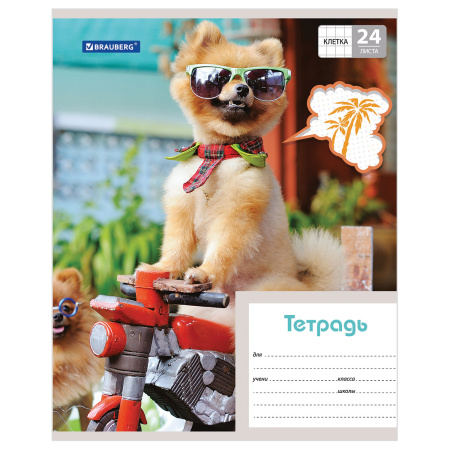 Тетрадь 24 л. BRAUBERG, клетка, обложка картон, MY BEST FRIEND, 403007 - Тетради 12-24 листов