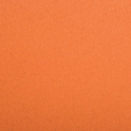 Альбом для пастели, картон "ТЕРРАКОТА" тонированный 630 г/м2, 207x297 мм, 10 л., BRAUBERG CLASSIC, 105922 - Альбомы и бумага для пастели