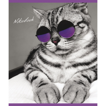 Тетрадь А5, 48 л., ПЗБМ, скоба, клетка, фольга, конгрев, TWIN лак, "КОТ БАЗИЛ" (5 видов), 029211 - Тетради 40-48 листов