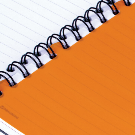 Тетрадь-блокнот 120 л., A5, 170x215 мм, BRAUBERG, линия, гребень, обложка пластиковая, 4 разделителя, "Rich", 401791 - Тетради-блокноты