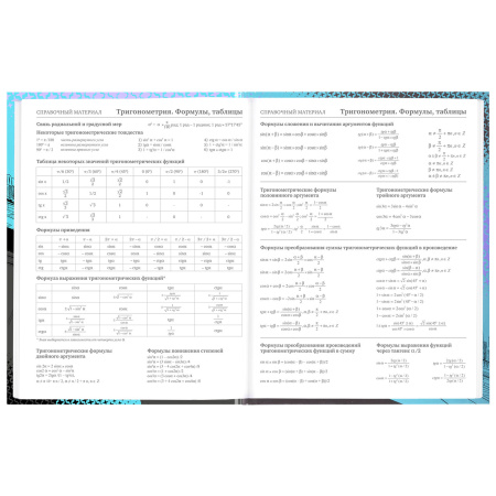 Дневник 5-11 класс 48 л., твердый, BRAUBERG, глянцевая ламинация, с подсказом, "Race Car", 106624 - Дневники для старших классов