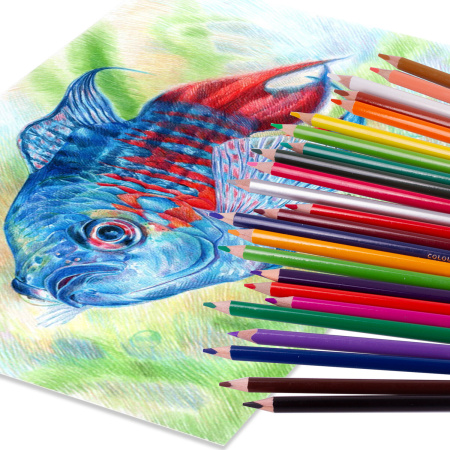 Карандаши цветные BRAUBERG PREMIUM, 36 цветов, трехгранные, грифель мягкий 3,3 мм, 181654 - Карандаши цветные