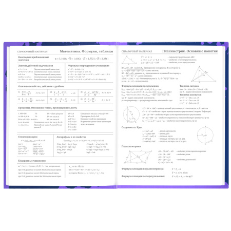 Дневник 5-11 класс 48 л., твердый, BRAUBERG, глянцевая ламинация, с подсказом, "Приставка", 106629 - Дневники для старших классов