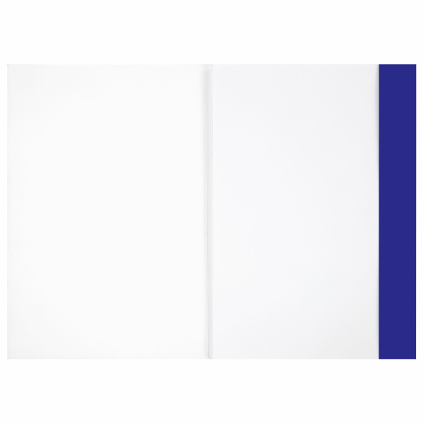 Бумага для рисования и графики в папке БОЛЬШАЯ А3, 20 л., 200 г/м2, ВАТМАН ГОЗНАК, BRAUBERG ART CLASSIC, 114491 - Альбомы, скетчбуки и бумага для графики и эскизов