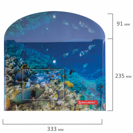 Папка-конверт с кнопкой BRAUBERG "SEA WORLD", А4, 160 мкм, до 100 листов, цветная печать, 228041 - Папки-конверты с кнопкой