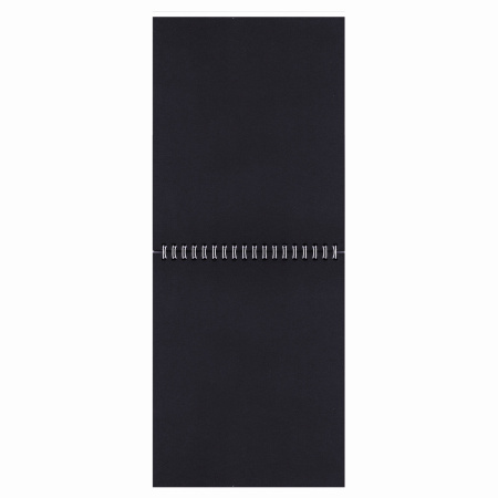 Скетчбук, черная бумага 120 г/м2, 170х195 мм, 30 л., гребень, цветная фольга, твин лак, "Тигр", 97699 - Альбомы, скетчбуки и бумага для графики и эскизов