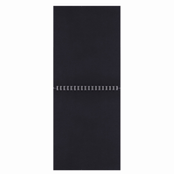 Скетчбук, черная бумага 120 г/м2, 170х195 мм, 30 л., гребень, цветная фольга, твин лак, "Тигр", 97699 - Альбомы, скетчбуки и бумага для графики и эскизов