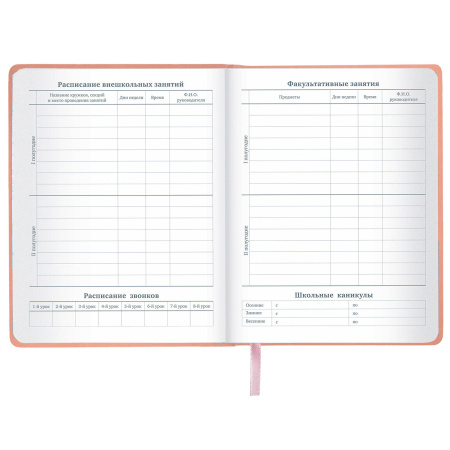 Дневник 1-11 класс 48 л., кожзам (твердая с поролоном), тиснение, аппликация, BRAUBERG, "Smart Cat", 106206 - Дневники универсальные