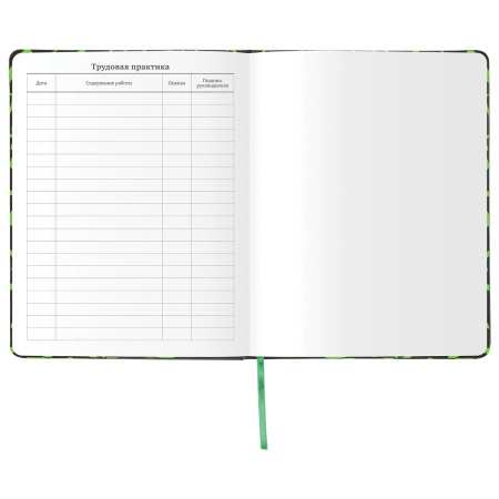 Дневник 1-11 класс 48 л., кожзам (твердая с поролоном), флуоресцентный, BRAUBERG, "ШРИФТ", 105983 - Дневники для старших классов