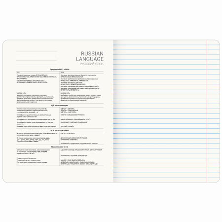 Тетрадь предметная "PASTEL" 48 л., SoftTouch, фольга, РУССКИЙ ЯЗЫК, линия, BRAUBERG, 404318 - Тетради предметные