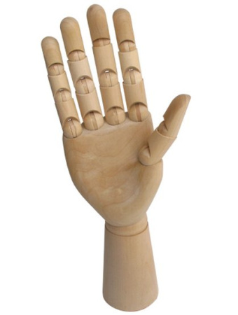 Модель "рука", 25 см, женская правая