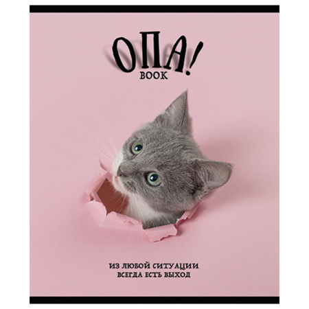 Тетрадь А5, 48 л., ПЗБМ, скоба, клетка, выборочный TWIN лак, "ОПА!" (5 видов), 028664 - Тетради 40-48 листов