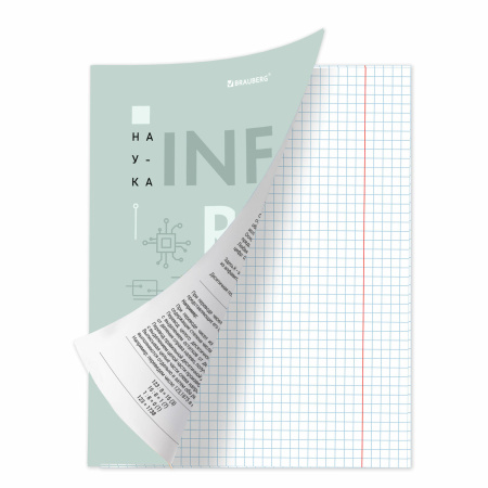 Тетрадь предметная со справочным материалом VISION 48 л., обложка картон, ИНФОРМАТИКА, клетка, BRAUBERG, 404255 - Тетради предметные