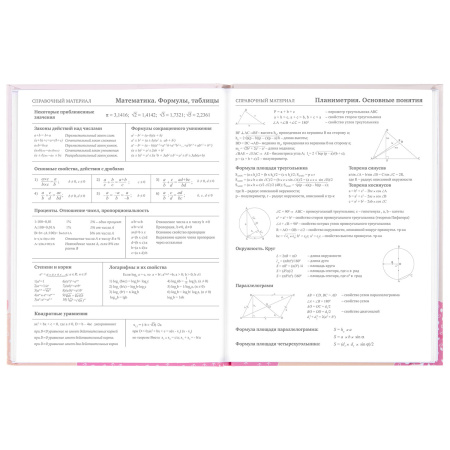 Дневник 5-11 класс 48 л., твердый, BRAUBERG, глянцевая ламинация, с подсказом, "Летний", 106631 - Дневники для старших классов