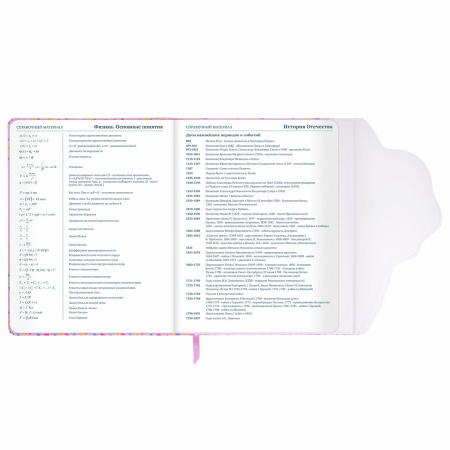 Дневник 1-11 класс 48 л., кожзам (твердая), магнитный клапан, ЮНЛАНДИЯ, "Мороженка", 106184 - Дневники универсальные