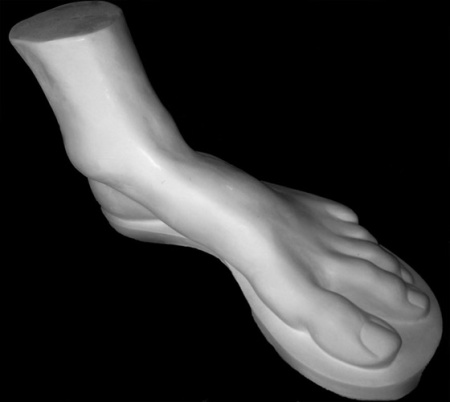 Стопа Геракла 37*15*22 (20-208)