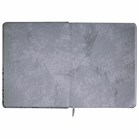 Дневник 1-4 класс 48 л., кожзам (твердая), печать, аппликация, ЮНЛАНДИЯ, "Truck Race", 106195 - Дневники для младших классов