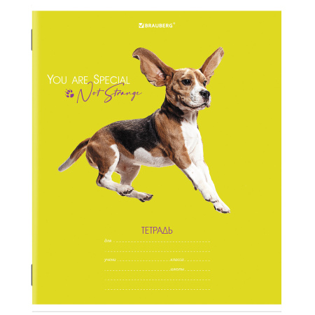Тетрадь 18 л. BRAUBERG линия, обложка картон, "СОБАЧКИ", 106481 - Тетради 12-24 листов