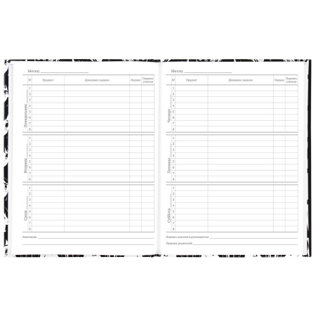 Дневник МП 1-11 класс 48 л., твердый, BRAUBERG, глянцевая ламинация, с подсказом, "Аниме", 106646 - Дневники универсальные