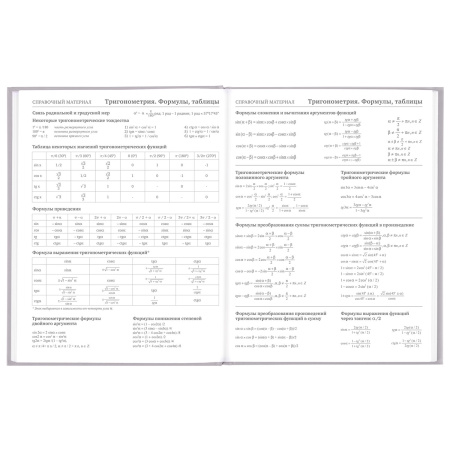 Дневник 5-11 класс 48 л., твердый, BRAUBERG, глянцевая ламинация, с подсказом, "Flowers", 106401 - Дневники для старших классов