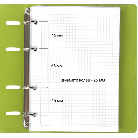 Тетрадь на кольцах А5 (180х220 мм), 120 листов, под кожу, клетка, BRAUBERG "Joy", зелёный/светло-зелёный, 129991 - Тетради на кольцах и сменные блоки к ним