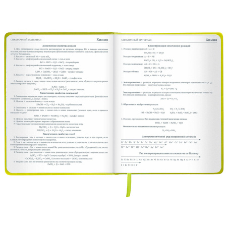 Дневник 1-11 класс 48 л., кожзам (твердая с поролоном), тиснение аппликация, BRAUBERG, "Super Avo", 106205 - Дневники универсальные