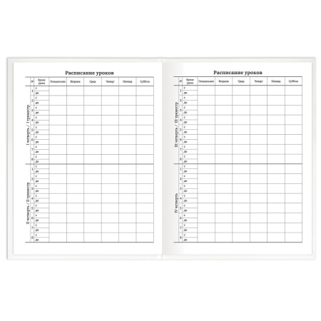 Дневник 1-11 класс 40 л., твердый, BRAUBERG, матовая ламинация, БЕЛЫЙ, 105540 - Дневники для старших классов