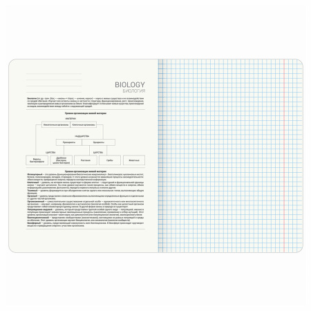 Тетрадь предметная "КОТ-ЭНТУЗИАСТ" 48 л., TWIN-лак, БИОЛОГИЯ, клетка, подсказ, BRAUBERG, 404559 - Тетради предметные