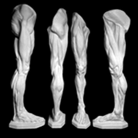 Нога мюнхенская (анатомическая) 19*29,5*102 (20-216)