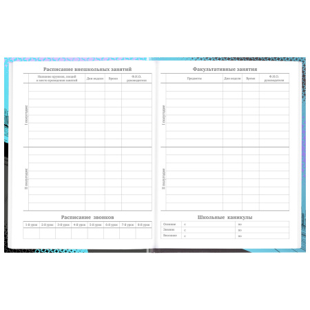 Дневник 5-11 класс 48 л., твердый, BRAUBERG, глянцевая ламинация, с подсказом, "Race Car", 106624 - Дневники для старших классов