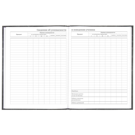 Дневник 5-11 класс 48 л., твердый, BRAUBERG, фольга, с подсказом, "Музыка", 106418 - Дневники для старших классов