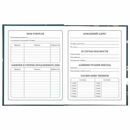 Дневник 1-4 класс 48 л., твердый, ЮНЛАНДИЯ, глянцевая ламинация, с подсказом, "Kittycorn", 106346 - Дневники для младших классов