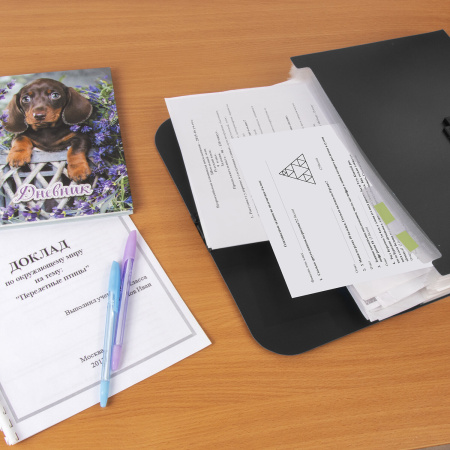 Портфель пластиковый STAFF А4 (330х235х36 мм), 13 отделений, индексные ярлыки, черный, 229245 - Портфели пластиковые