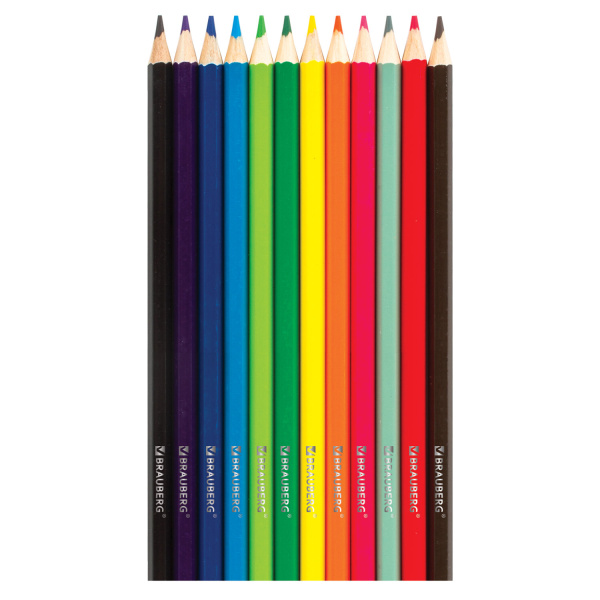 Карандаши цветные BRAUBERG "My lovely dogs", 12 цветов, заточенные, картонная упаковка, 180531 - Карандаши цветные