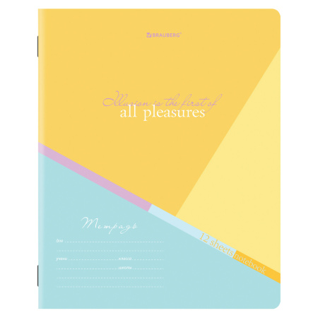 Тетради 12 л. КОМПЛЕКТ 10 шт. BRAUBERG, клетка, обложка картон, MULTICOLOR, 106665 - Тетради 12-24 листов