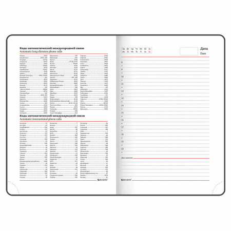 Ежедневник недатированный А5 (138х213 мм), BRAUBERG VISTA, под кожу, гибкий, 136 л., "Birds", 112021 - Ежедневники с покрытием "под кожу и ткань"