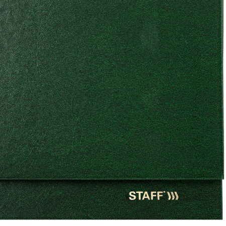 Планинг датированный 2024 300х130 мм, STAFF, гребень, обложка бумвинил, 64 л., зеленый, 115150 - Планинги