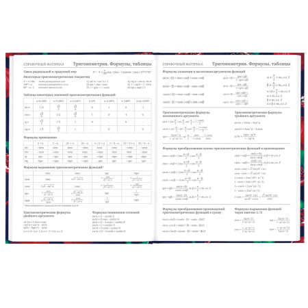 Дневник 5-11 класс 48 л., твердый, BRAUBERG, глянцевая ламинация, с подсказом, "Гранаты", 106621 - Дневники для старших классов