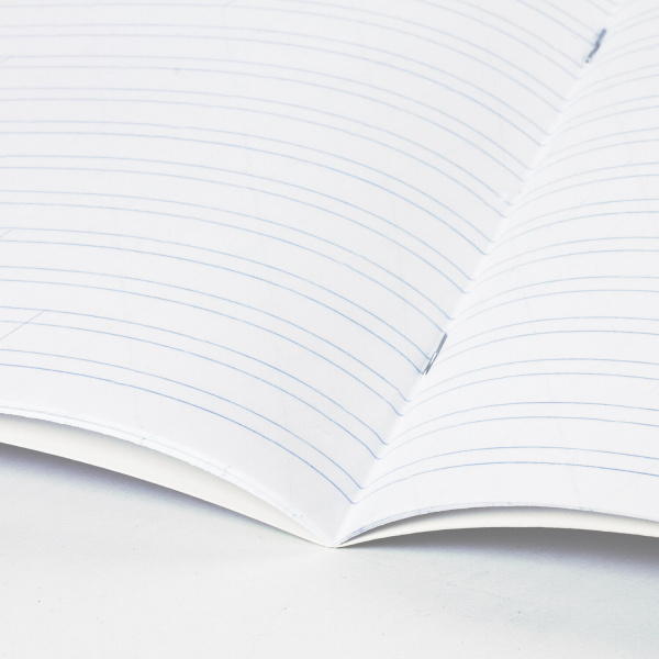 Тетрадь 12 л. BRAUBERG КЛАССИКА NEW узкая линия, обложка картон, ЗЕЛЕНАЯ, 105692 - Тетради 12-24 листов