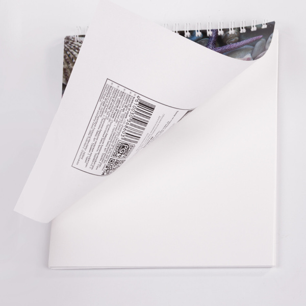 Скетчбук, каменная бумага 245 г/м2, 170х195 мм, 20 л., гребень, подложка, холодная фольга, "Звезда", 98603 - Альбомы, скетчбуки и бумага для графики и эскизов