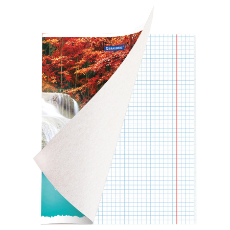 Тетрадь А5, 48 л., BRAUBERG скоба, клетка, металлизированный картон, КРАСИВАЯ ПРИРОДА, 402817 - Тетради 40-48 листов