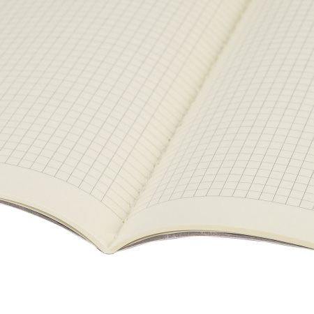 Тетрадь 40 л. в клетку обложка SoftTouch, бежевая бумага 70 г/м2, сшивка, А5 (147х210 мм), HOT PEPPERS, BRAUBERG, 403779 - Тетради 40-48 листов