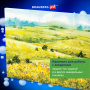 Холст акварельный на картоне (МДФ) 25х35 см, грунт, хлопок, мелкое зерно, BRAUBERG ART CLASSIC, 191682 - Холсты